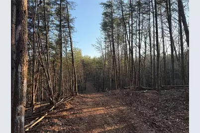 260 Arnold Road, Fairmount, GA 30139 - Photo 26