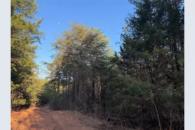 260 Arnold Road, Fairmount, GA 30139 - Photo 6