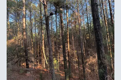 260 Arnold Road, Fairmount, GA 30139 - Photo 22