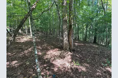 5, 10 Riverview Dr and Pine Trail, Dahlonega, GA 30533 - Photo 8