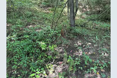 5, 10 Riverview Dr and Pine Trail, Dahlonega, GA 30533 - Photo 1