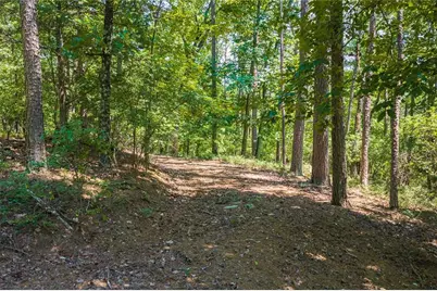 694-95 Railey Ridge, Ranger, GA 30734 - Photo 10