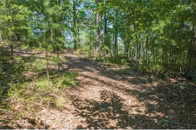 694-95 Railey Ridge, Ranger, GA 30734 - Photo 8