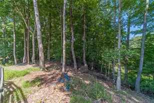 9240 Holly Wood Dr, Gainesville, GA 30506 - Photo 74