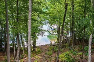 281 Pine Cone Rd, Blue Ridge, GA 30513 - Photo 42