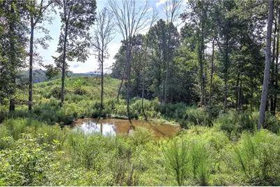 000 Pearl Johnson Road, Ranger, GA 30734 - Photo 8