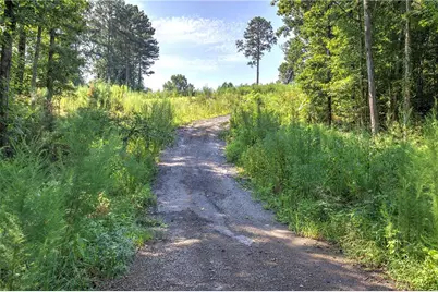000 Pearl Johnson Road, Ranger, GA 30734 - Photo 12