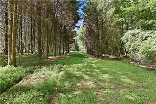 4829 Old Pendergrass Rd, Jefferson, GA 30549 - Photo 8
