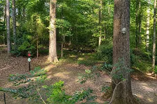 125 Maple Pl, Fayetteville, GA 30215 - Photo 28