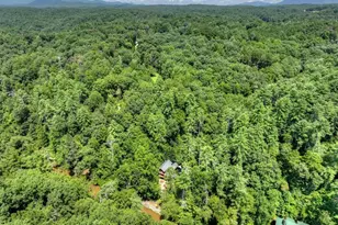 46 Private Dr, Ellijay, GA 30536 - Photo 52