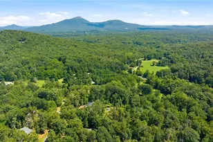 254 Spring Crest Rd, Cleveland, GA 30528 - Photo 64