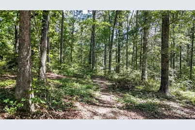 36 Rocky Road NW, Adairsville, GA 30103 - Photo 56