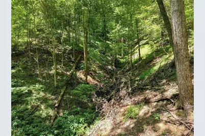 107 Disharoon Drive, Big Canoe, GA 30143 - Photo 66