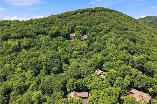 107 Disharoon Dr, Big Canoe, GA 30143 - Photo 56