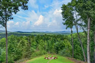 287 Scouts Overlook, Morganton, GA 30560 - Photo 40