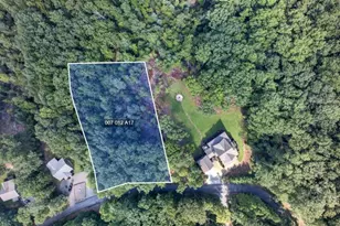 287 Scouts Overlook, Morganton, GA 30560 - Photo 90