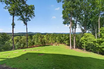 287 Scouts Overlook, Morganton, GA 30560 - Photo 66