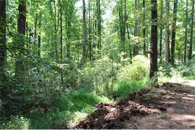 3575 Pleasant Grove Road, Cumming, GA 30028 - Photo 10