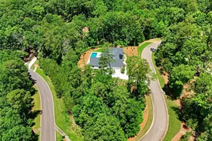 41 Birmingham Rd, Ball Ground, GA 30107 - Photo 46