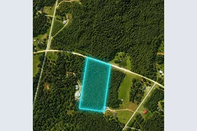 00 Indian Creek Road, Bowdon, GA 30108 - Photo 4