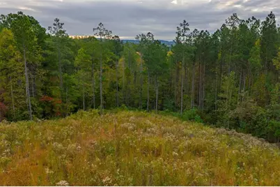 Lt 224 W Vista Ridge Parkway, Talking Rock, GA 30175 - Photo 14