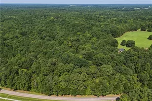 3120 Hwy 229, Mansfield, GA 30055 - Photo 1