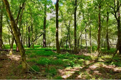 3140 Highway 229, Mansfield, GA 30055 - Photo 14