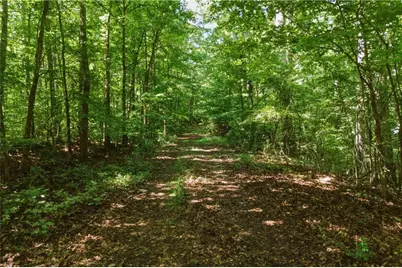 3180 Highway 229, Mansfield, GA 30055 - Photo 4