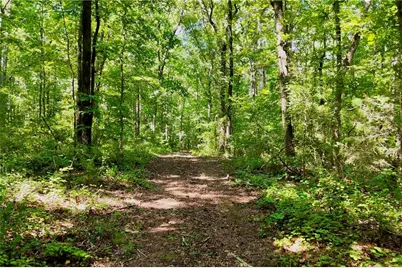 3180 Highway 229, Mansfield, GA 30055 - Photo 16