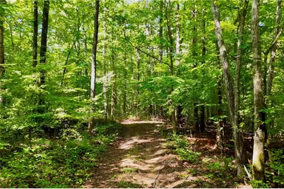 3180 Highway 229, Mansfield, GA 30055 - Photo 10