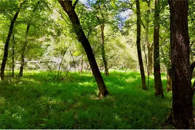 3180 Highway 229, Mansfield, GA 30055 - Photo 18