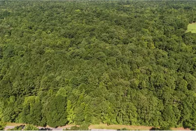 3180 Highway 229, Mansfield, GA 30055 - Photo 2