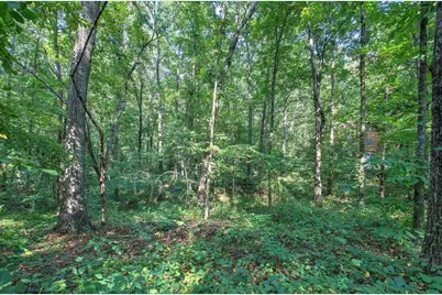 6354 Ga-20, White, GA 30184 - Photo 54