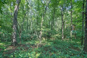 6354 GA-20, White, GA 30184 - Photo 54