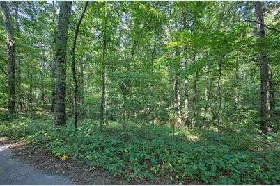 6354 Ga-20, White, GA 30184 - Photo 48