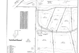 03 Knights Mountain Rd, Dahlonega, GA 30533 - Photo 1