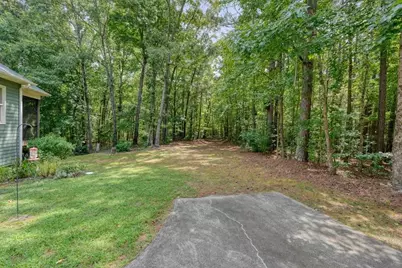 391 Prospector Way, Ball Ground, GA 30107 - Photo 58