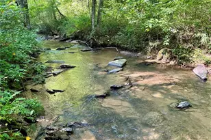 138 Rhondas Wy, Ellijay, GA 30540 - Photo 24