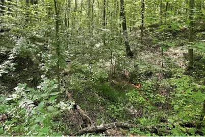 0 Shadow Wood Drive #Lot 2, Monroe, GA 30656 - Photo 6