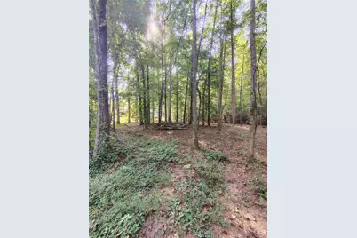 261 Brad St, Royston, GA 30662 - Photo 12