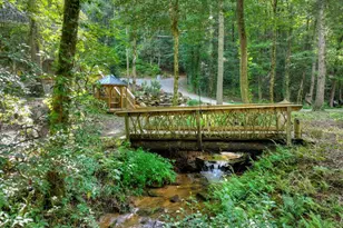 685 Chopped Oak Rd, Ellijay, GA 30540 - Photo 48