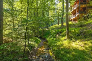 681 Catawba Cir, Ellijay, GA 30540 - Photo 58