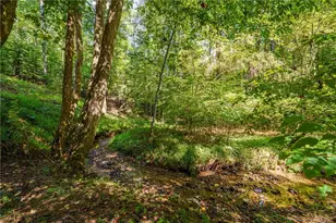 681 Catawba Cir, Ellijay, GA 30540 - Photo 62