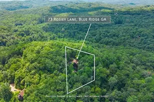73 Rosiey Ln, Blue Ridge, GA 30513 - Photo 2