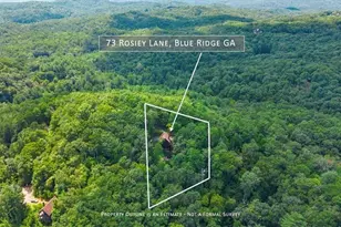 73 Rosiey Ln, Blue Ridge, GA 30513 - Photo 2