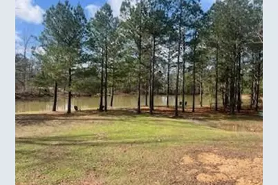 9 Foothills Trail, Sharpsburg, GA 30277 - Photo 6