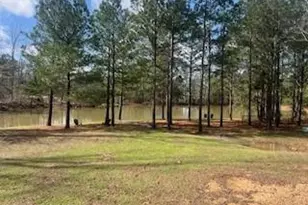 9 Foothills Trl, Sharpsburg, GA 30277 - Photo 6