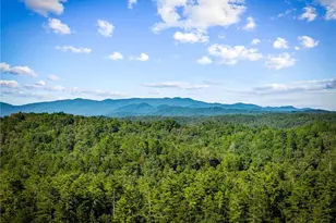 107 Fish Tale Cv, Ellijay, GA 30540 - Photo 2