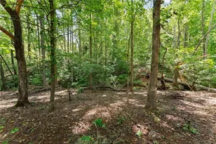 202 Old Lake Ln, Dawsonville, GA 30534 - Photo 70