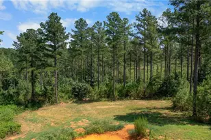 3390 Pleasant Valley Rd SE, Rome, GA 30161 - Photo 4